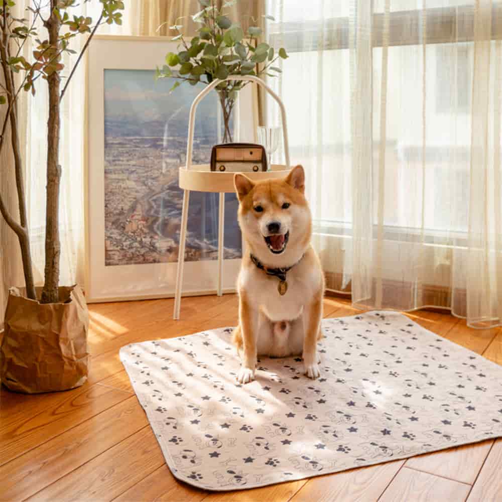 Dog paw bone brushed polyester dog bed floor super absorbent waterproof non-slip reusable puppy pads pet training pads