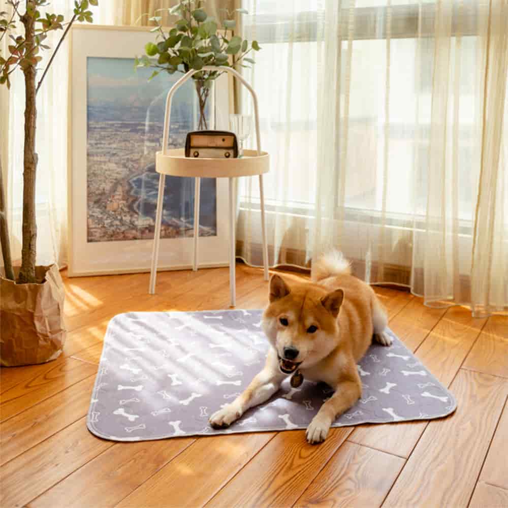 Dog paw bone brushed polyester dog bed floor super absorbent waterproof non-slip reusable puppy pads pet training pads